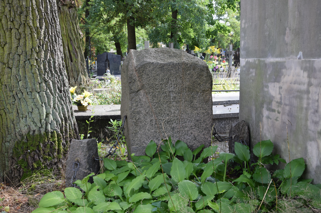 Grób Wiktora Stephana na piaseczyńskim cmentarzu parafialnym.png